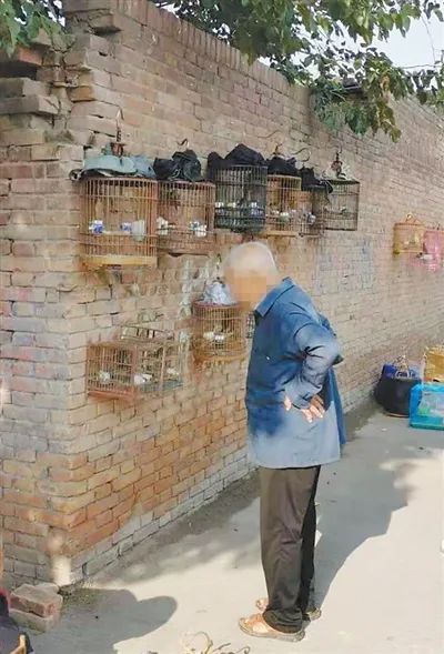每天的日报报道野鸟被卖给了公众，西安举行了