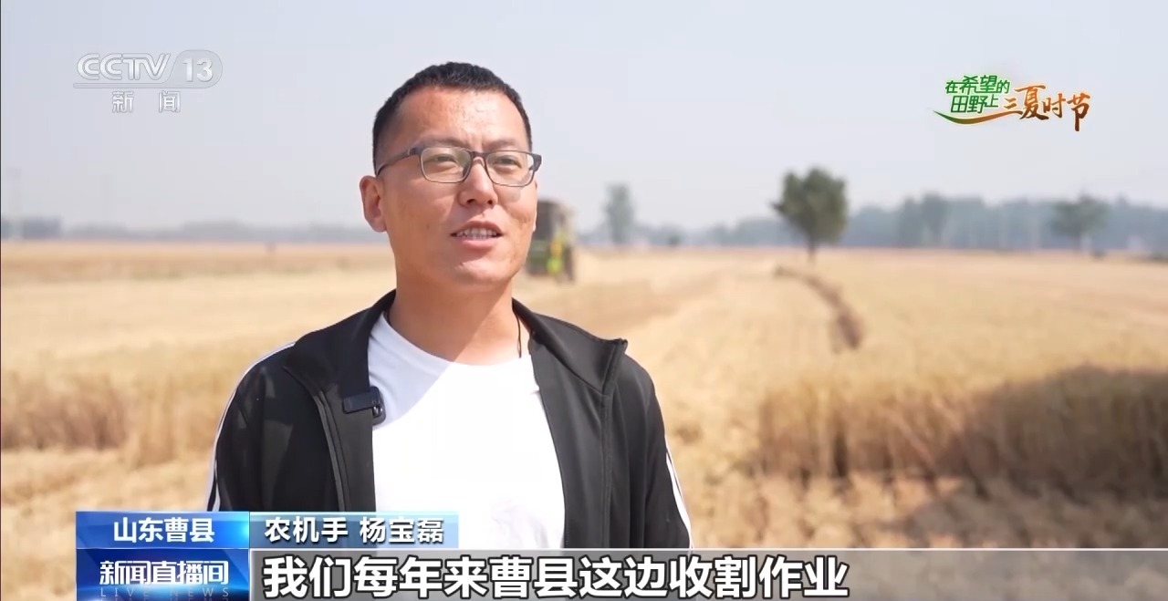 小麦田间“选秀”、蚕房变“流水线”……三夏收获正在进行(图1)