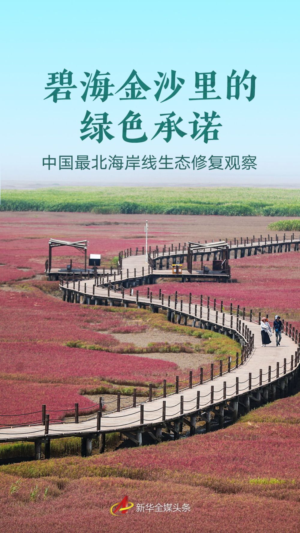 对蓝色海金沙的绿色承诺 - 保持中国最北端海岸
