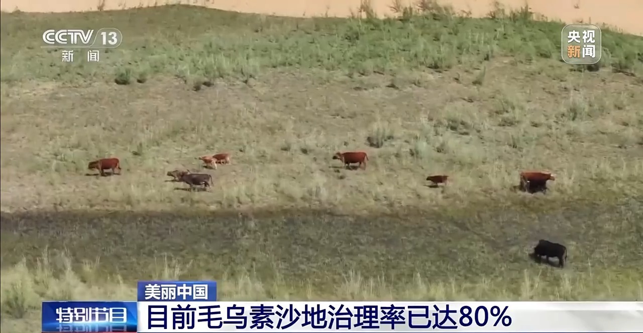 MU美国沙漠管理率为80%。下一个目标:100%!