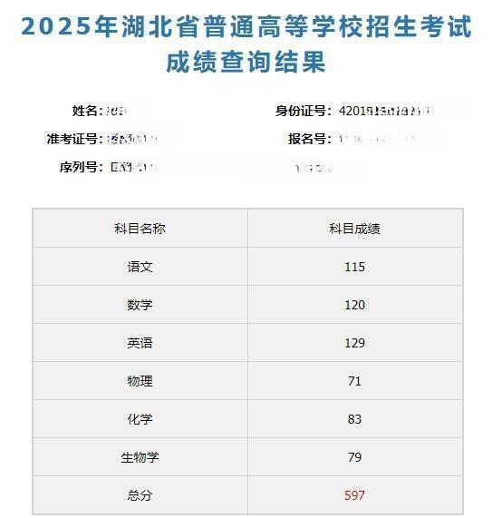 能够查分啦！湖北省2025年高考成果正式发布