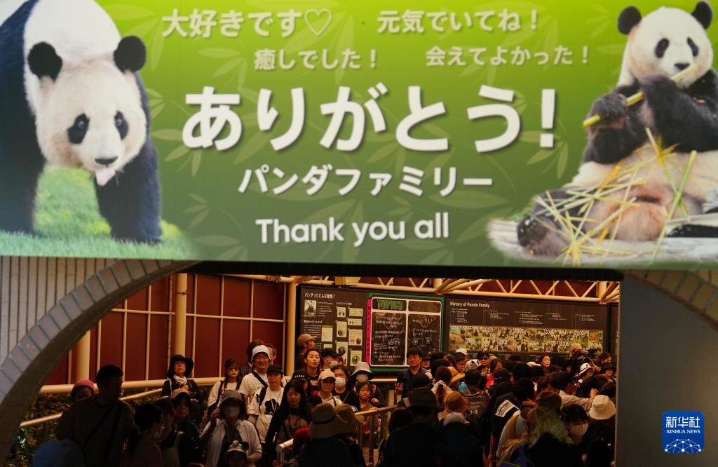 四个巨型大熊猫前往日本瓦卡亚山县将要回家