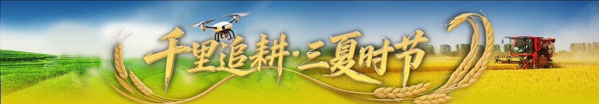 成千上万的追击英里·三个标签-Summary标签