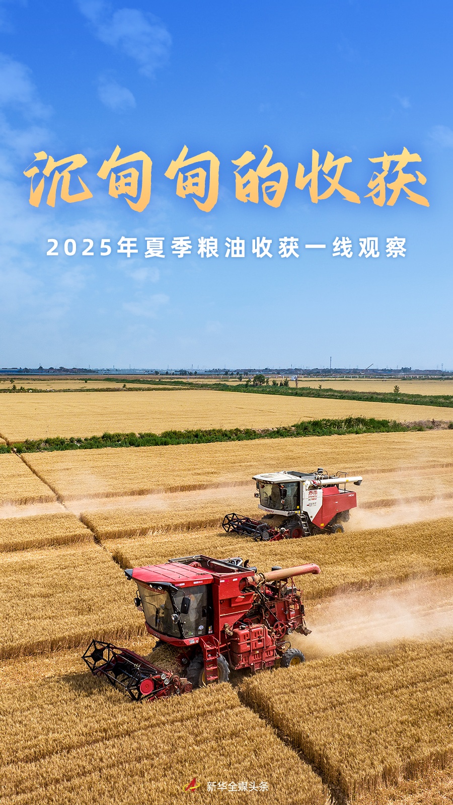 强大的收获 - 绿绿色观察2025年谷物和油的收获