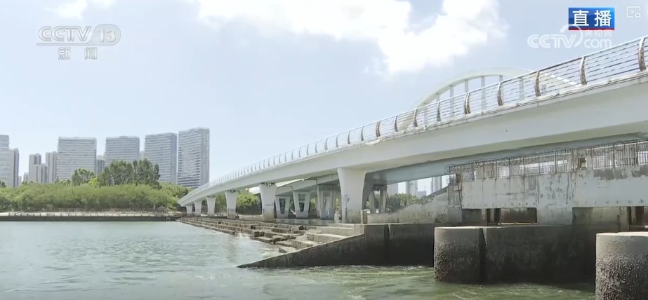 生态画卷展新“颜” 增“绿”生“金”点亮多样消费新场景(图5)