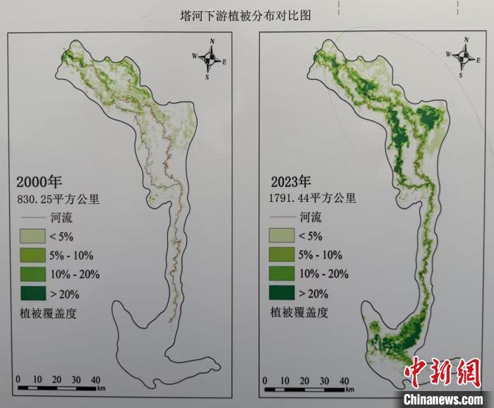 新疆的鲁克安格（Ruoqiang）对Quicksand有智能控制，