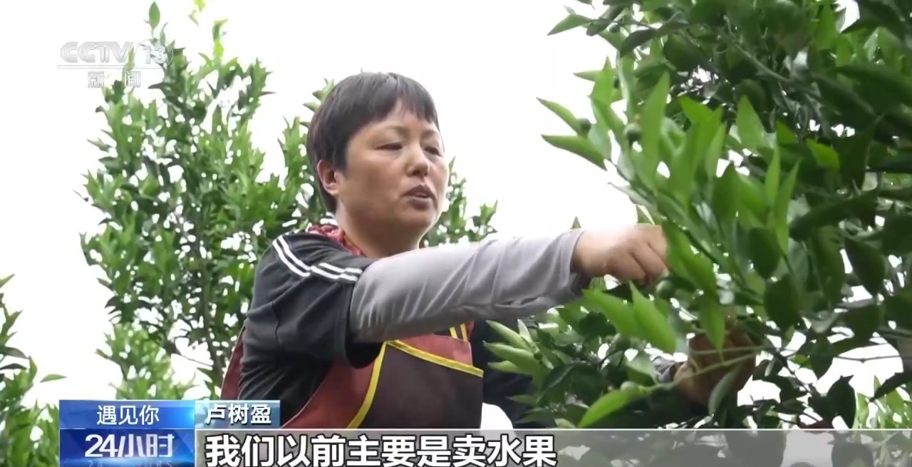 遇见你丨从卖生果到山花奖 小学文化的她写了17年