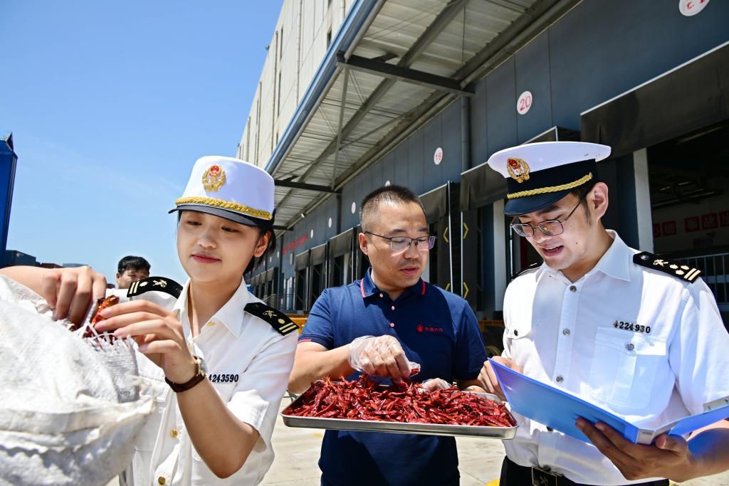 特稿｜从零关税赋能到协作形式立异　中非经贸协作谱新篇