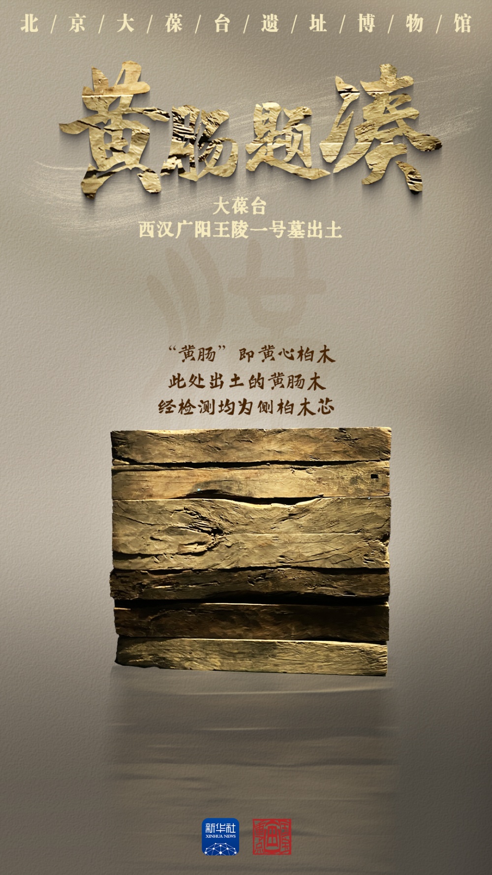 什么是“黄肠”？