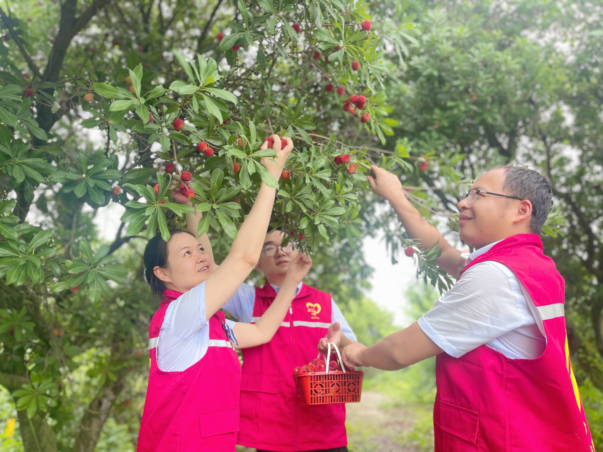 崇阳管理所：果香漫高速 爱心“鲜”万里