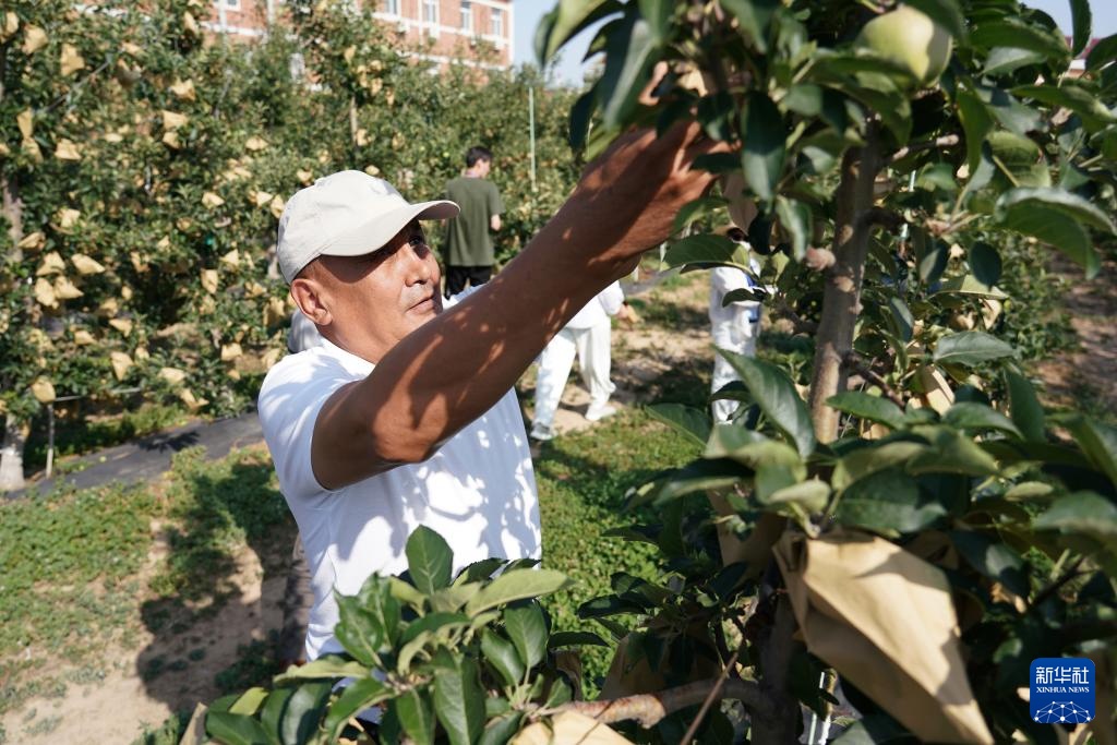 新华社所有媒体+丨职业培训促进中国中国亚洲农