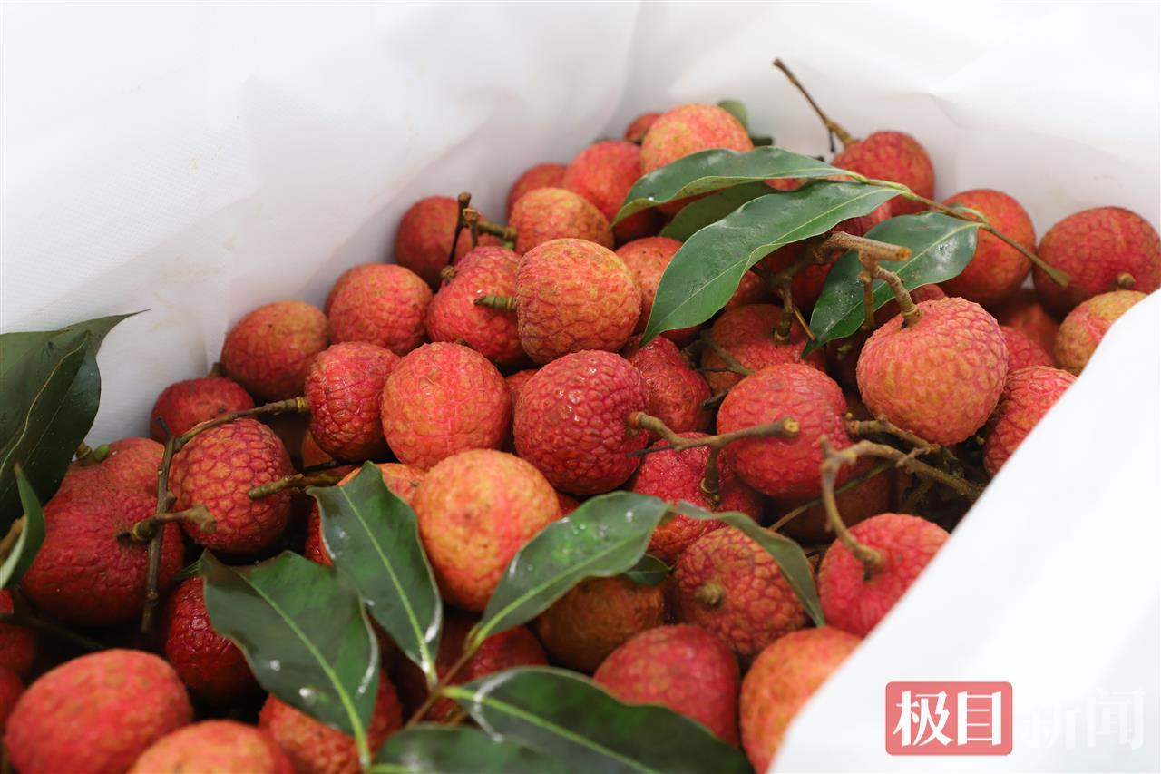 华胡国际机场已经开设了4条“ Litchi路线”，20