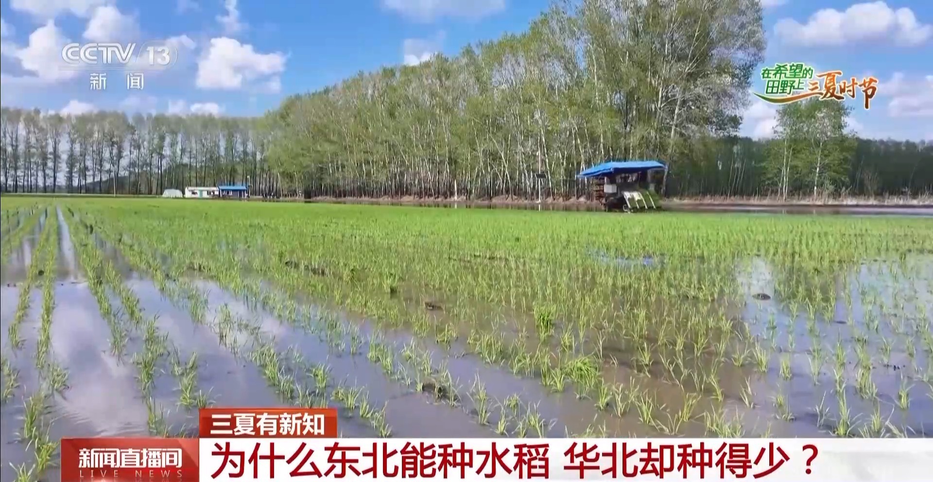 不仅因为黑地面，北部 - 中国更适合种植大米和