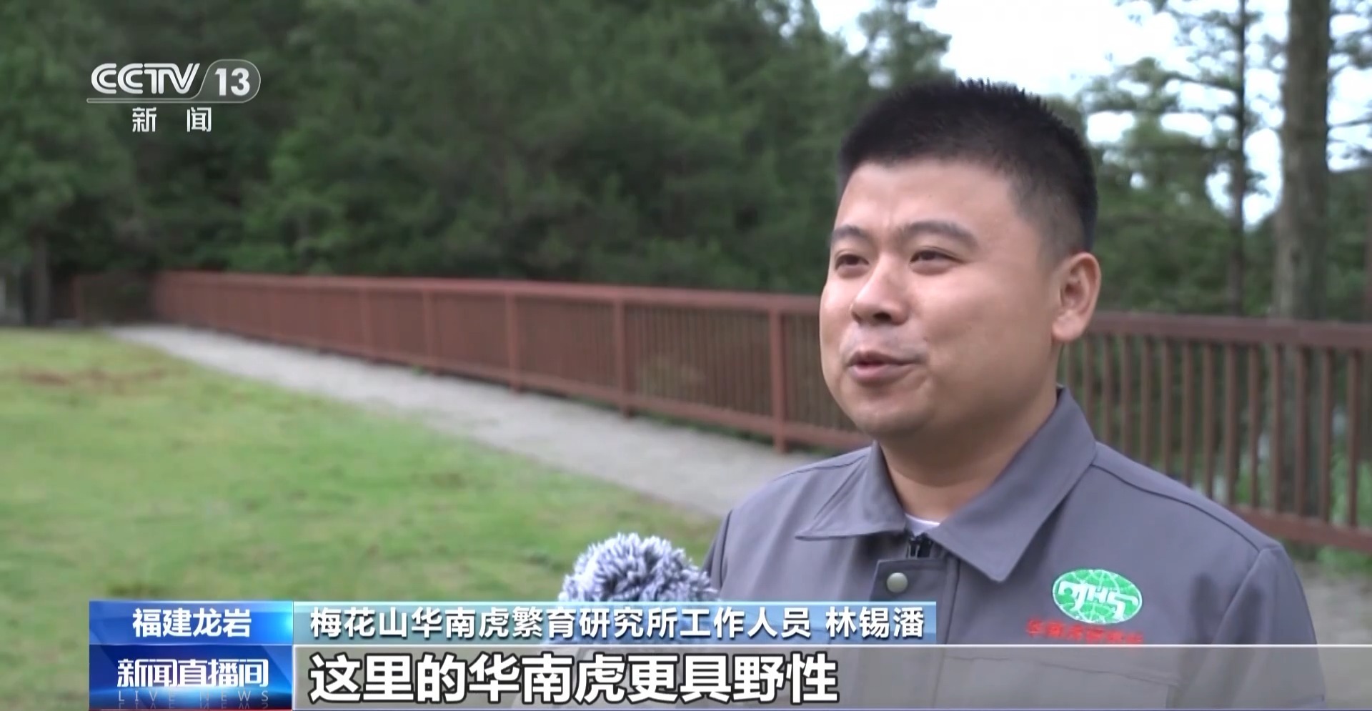 虎啸梅花山 “百兽之王”增加文旅新生机
