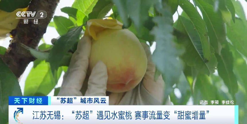“ Su Chao”带有Huoyang Mountain Peach，Wuxi，Jiangsu，将