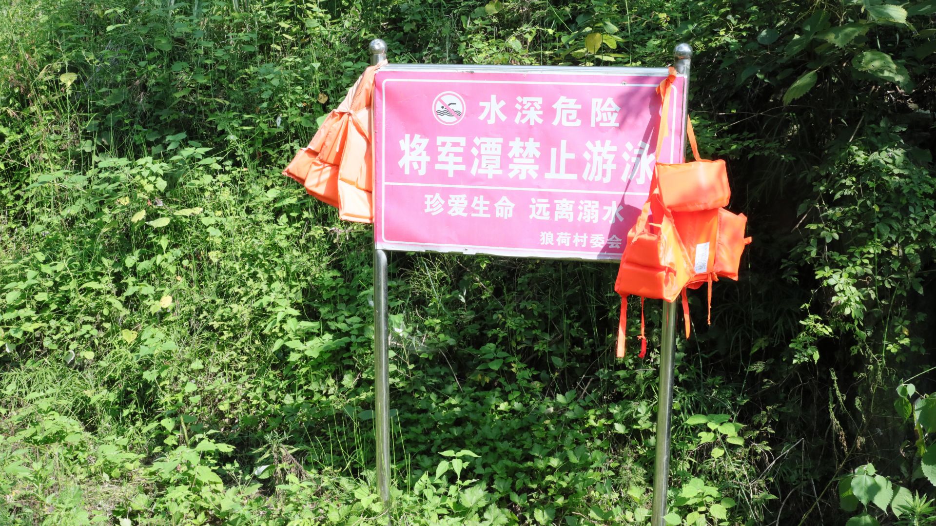 微信图片_20250724095902.jpg.jpg