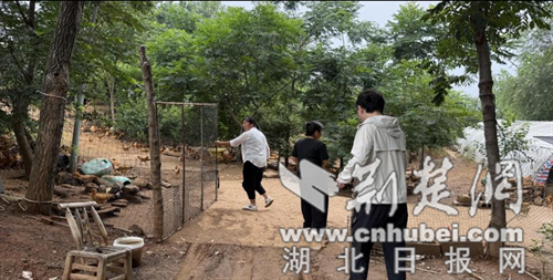 中城市城市和补贴增加动力和生殖行业促进振兴
