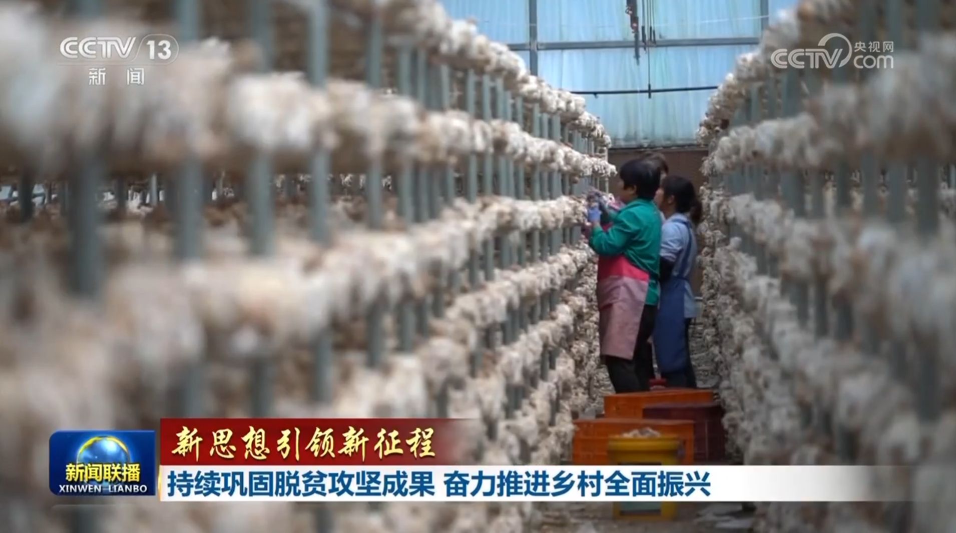 [新想法带来新的旅程]继续结合减轻贫困的结果，