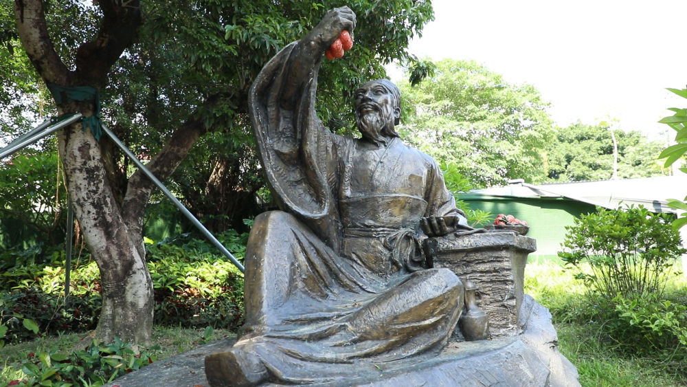 解码文化信任的城市样本|在卢山脚下的四个季节