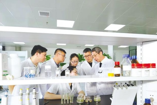 东胡（Donghu）的快速话语｜“稻造血”成功！与
