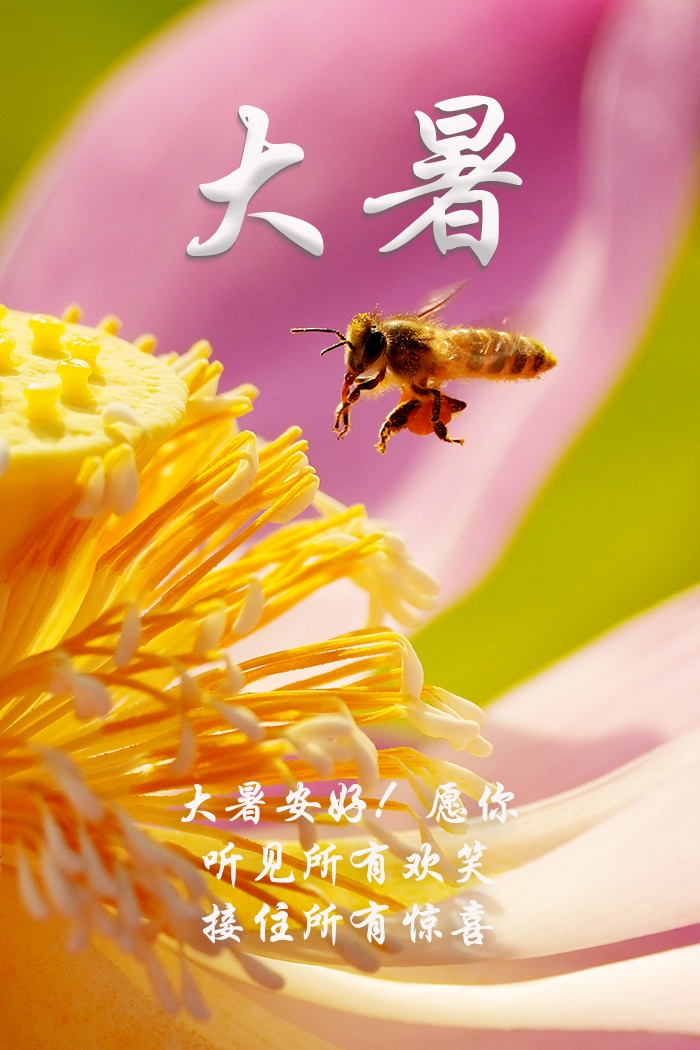 太热了！祝你安心，幸福和幸福