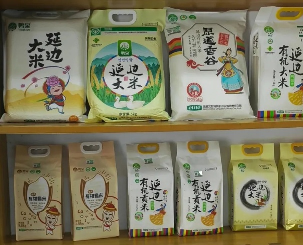 在过去的五年中，Yambian农村电子经济数字电动机