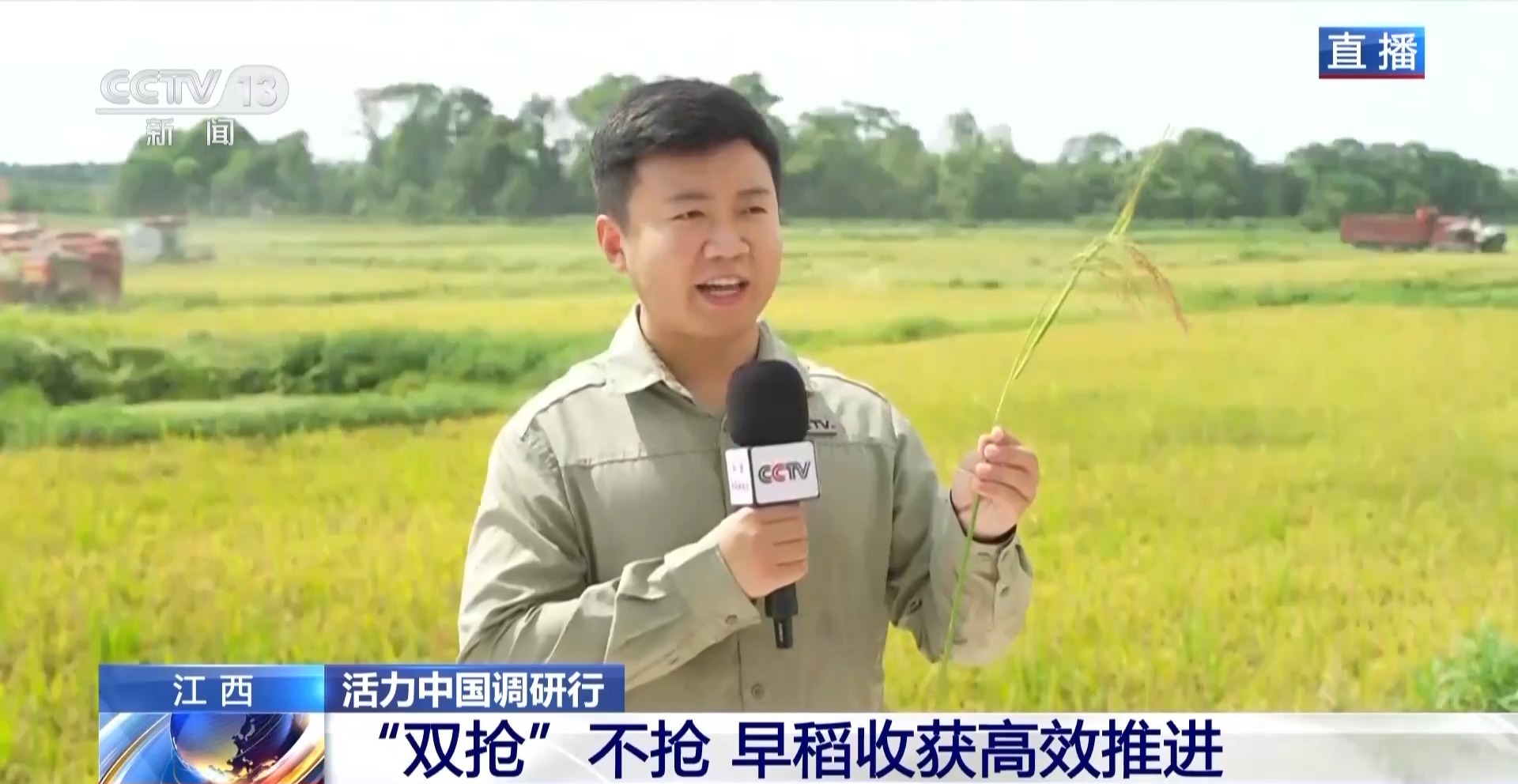 生机我国调研行丨新技术助力“双抢”时节 “好粮食”变成了“好产品”