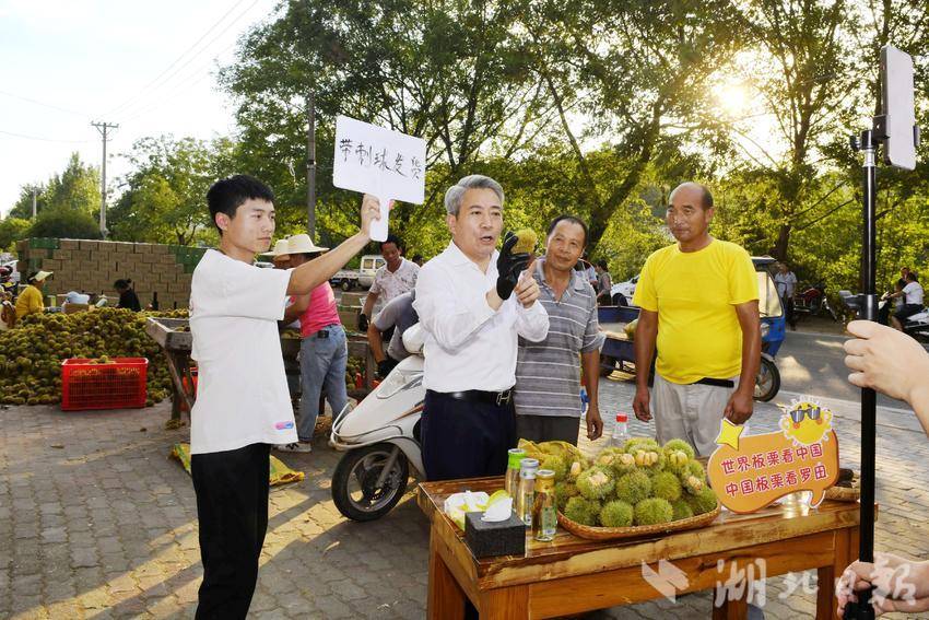 d53a69d0-3602-44c8-964f-44172caeca22.jpg-w800_wm