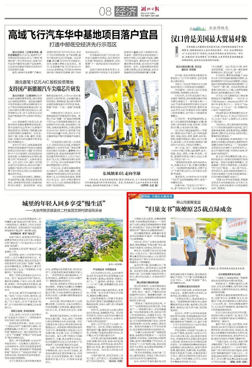 [聚会的旗帜负责人：与达比山的头的鹅的风格