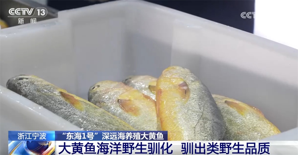 稻渔综合种养、深远海养殖新产业、新模式打开富民增收“新路径”(图5)