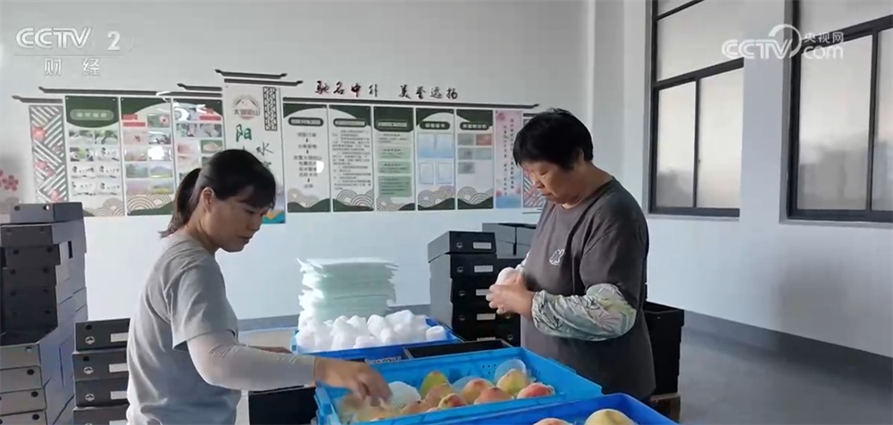 总量增加、质量提高、变量可控 从数据透视拓宽外贸增加新空间“底气”