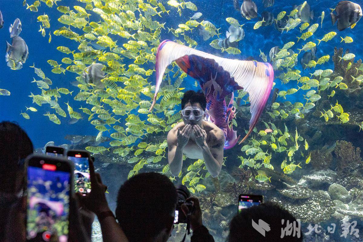 男版美人鱼武汉海底秀