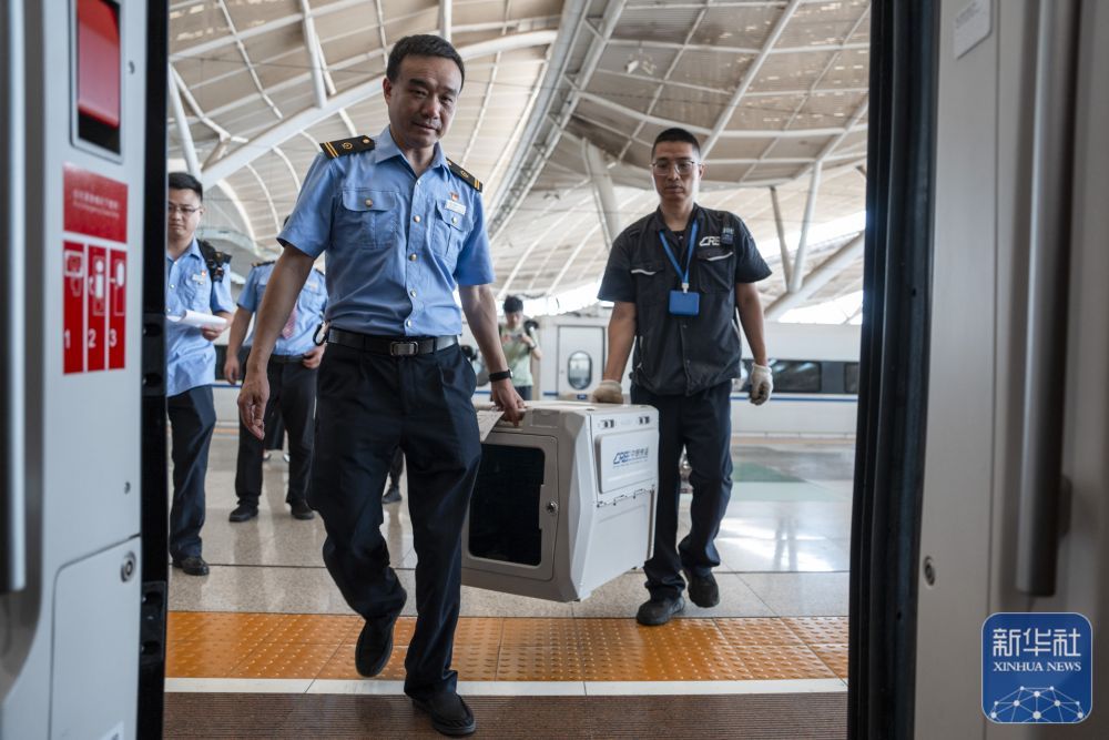 镜观中国丨四个关键词回顾中国高铁发展征程(图11)