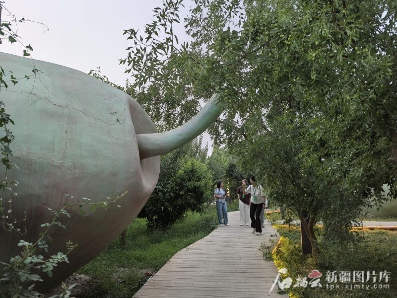 请参阅新江里市的农业，文化和旅游业综合发展