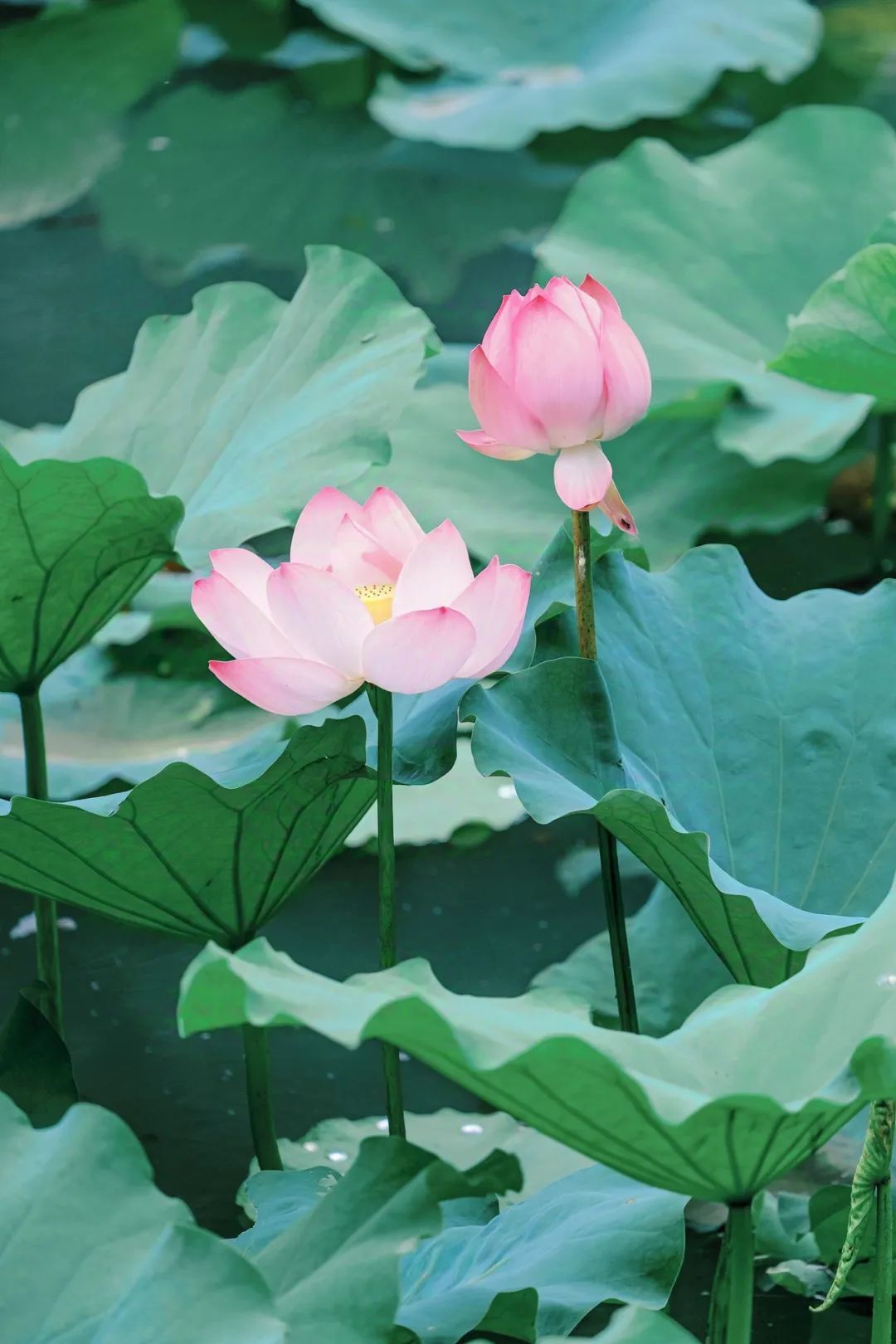 现在是21:29，这是标签加热的最后热量