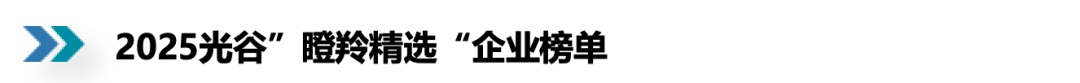 光谷100家“瞪羚精选”企业诞生，七成坐落赛道榜首队伍
