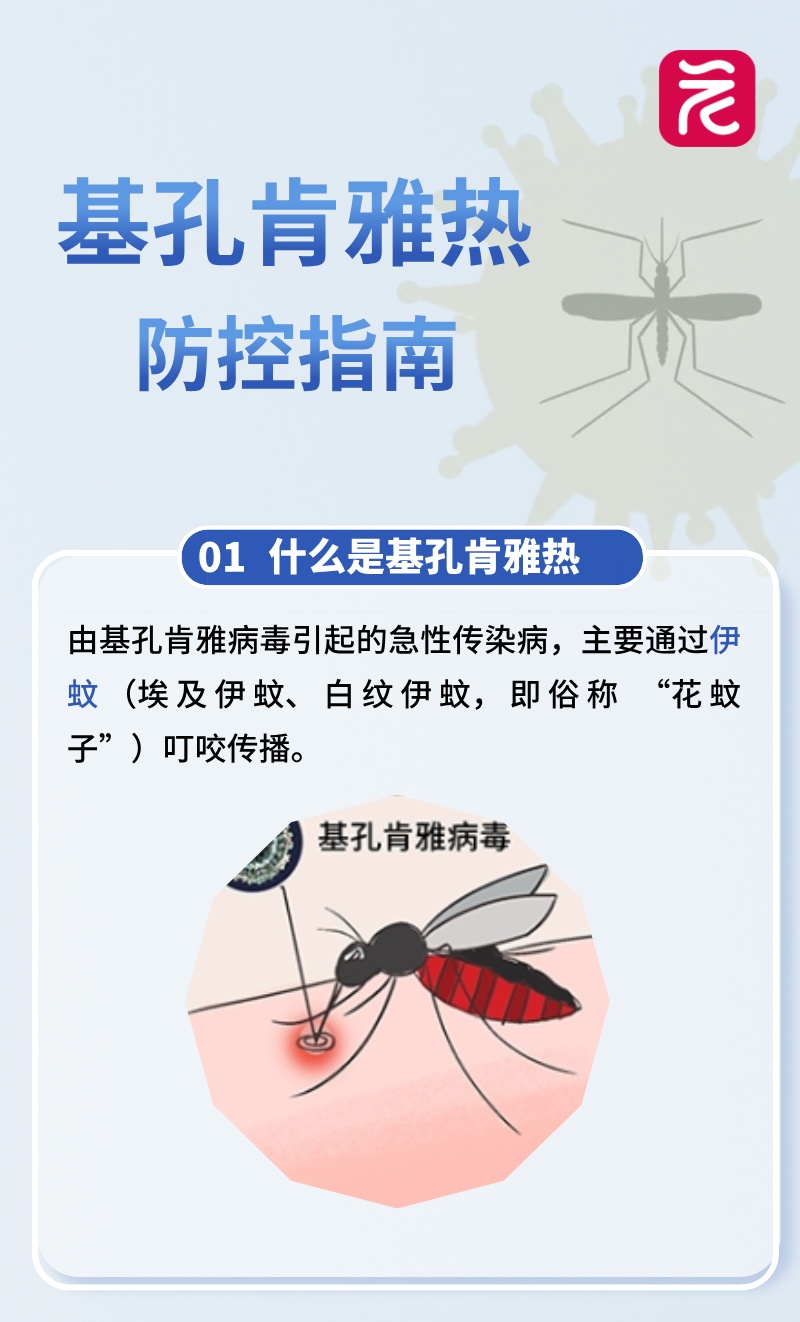 广东省的钱德确认了2,000多起案件！如何防止基孔