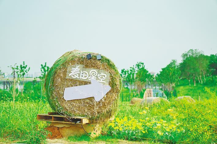 荒原的蝴蝶旁边的第四圈路和Houguauan Lake旁边改变