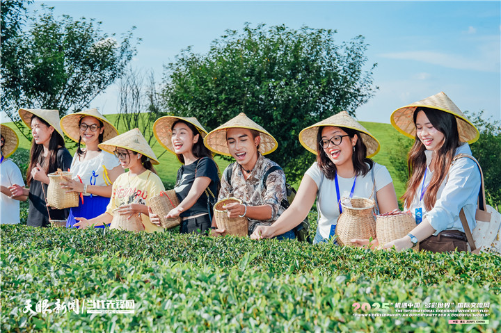 机会我国 多彩贵州｜干了这杯新茶饮！我国茶新表达“圈粉”海外青年