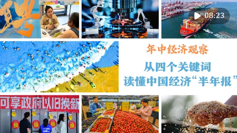 年中经济调查｜从四个关键词读懂中国经济“半年报”
