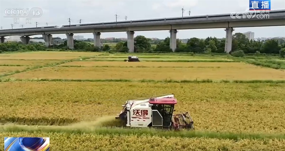 良机良种良技绘就早稻好“丰”景 “新农民”正逐渐成为“兴农民”