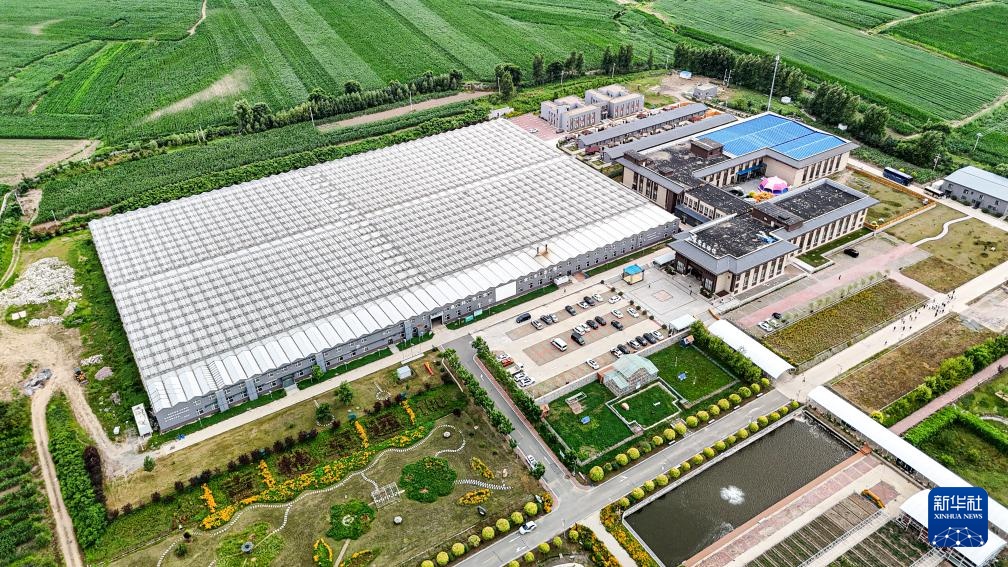 充满活力的中国研发| Jilin Yongji:技术用黑色土壤