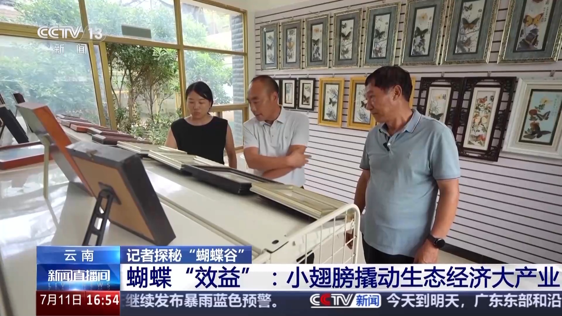 探秘“蝴蝶谷”小翅膀撬动生态经济大产业(图6)