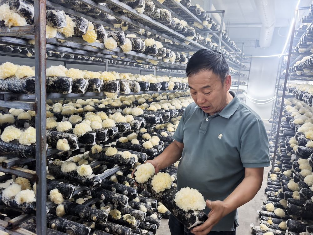 泰山天山根连根 鲁疆同心绘新篇——山东对口援疆助力喀什高质量开展写实