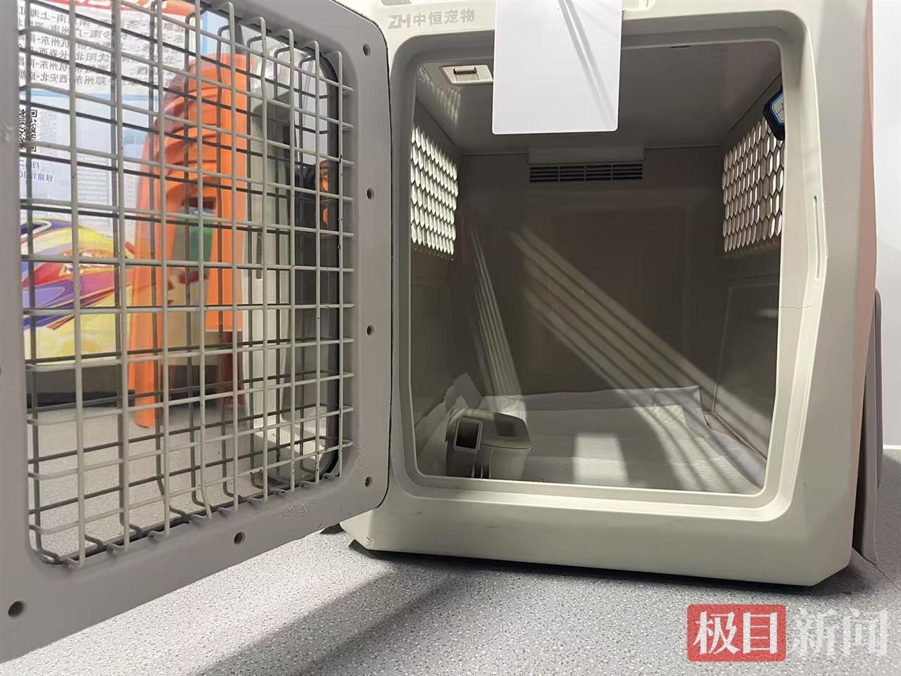 武汉站首迎“喵星人”坐高铁：暂住专用邮寄箱，与主人同车同抵达
