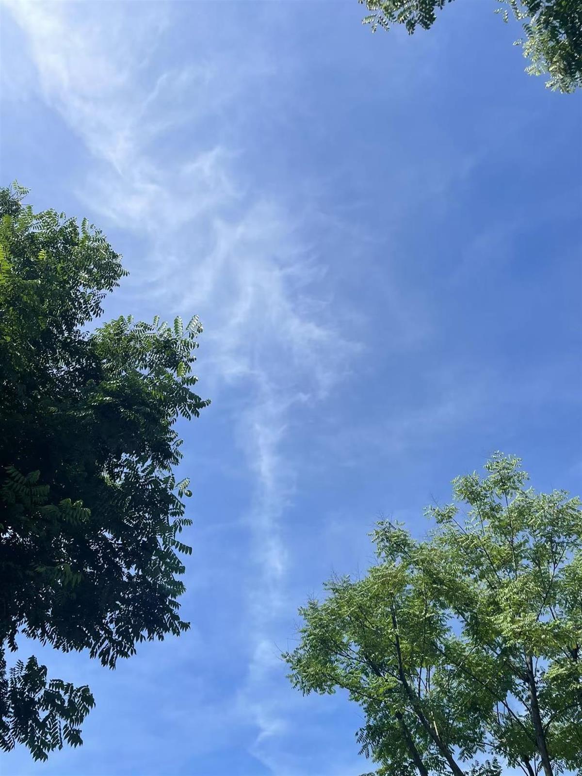最多40℃！湖北部的大多数地区都被困在高温下，