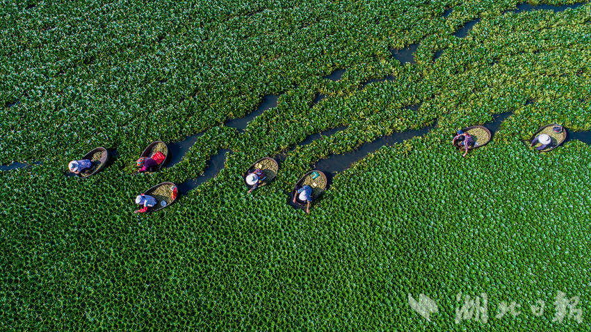 5b37f18b-c481-42a6-b956-f77f0614b23c.png-w800_wm