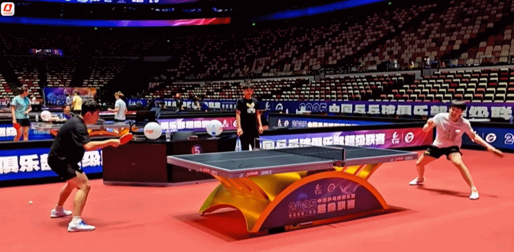 Zhendong和Wang Chuqin的球迷在变暖后高兴地拍打了五