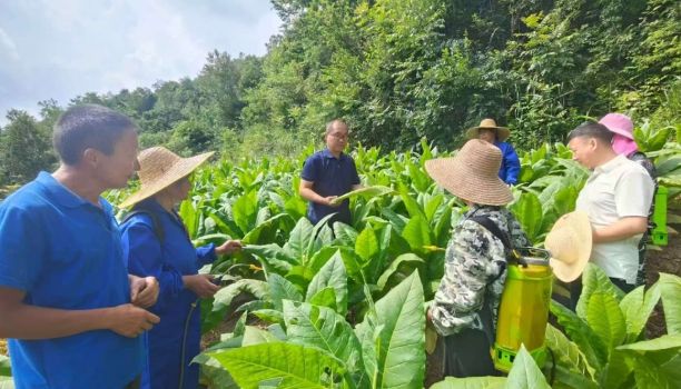 129名特派员破解200项技能难题——长阳科技赋能农业助农增收记