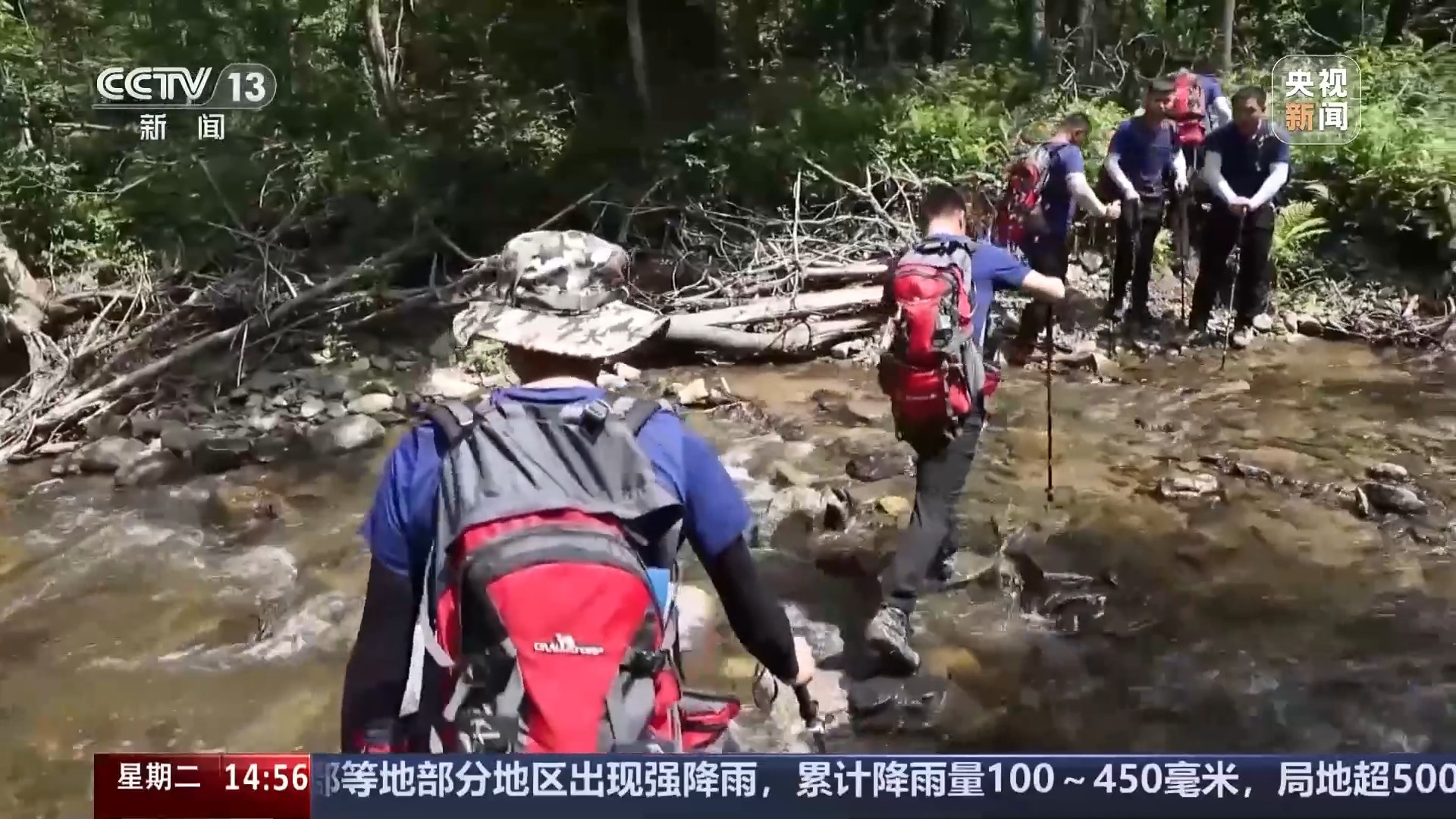 它每年被拍摄超过3,000次。为什么西伯利亚老虎“